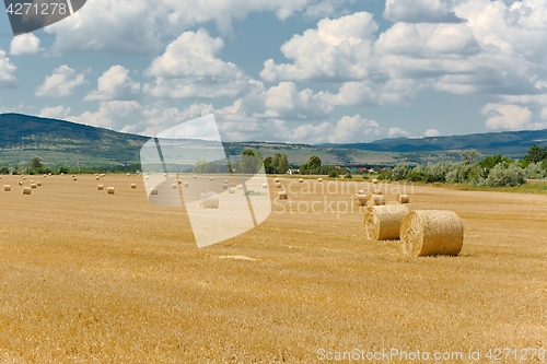 Image of Agricultural field with bales