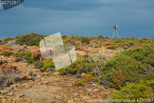 Image of Landscape in Tasmania