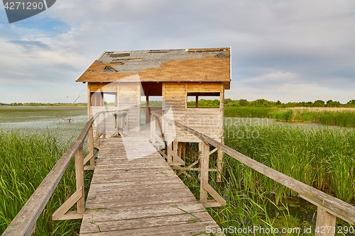 Image of Swamp walking path