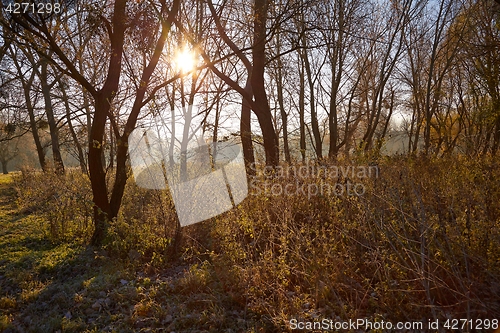 Image of Autumn morning landscape