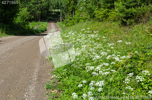 Image of Beautiful roadside