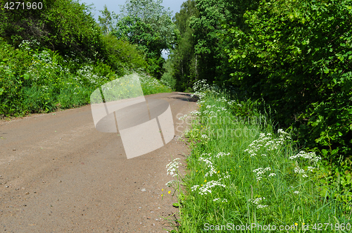 Image of Gravel road surrounded by green colors