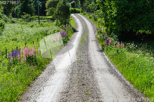 Image of Beautiful winding gravel road