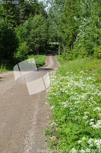 Image of Beautiful country road at summer season