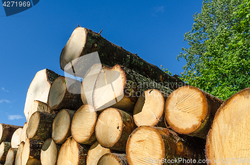 Image of Woodstack by a blue sky