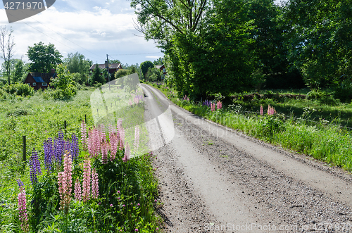 Image of Beautiful road to the village