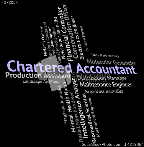 Image of Chartered Accountant Shows Balancing The Books And Audit