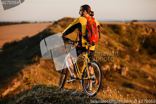 Image of Sporty Man Riding a Bicycle on the Country Road.