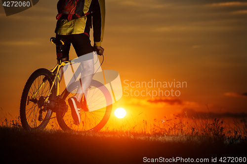 Image of Sporty Man Riding a Bicycle on the Country Road.