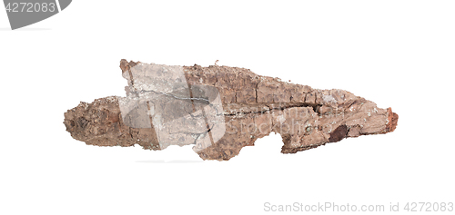 Image of Tree bark isolated