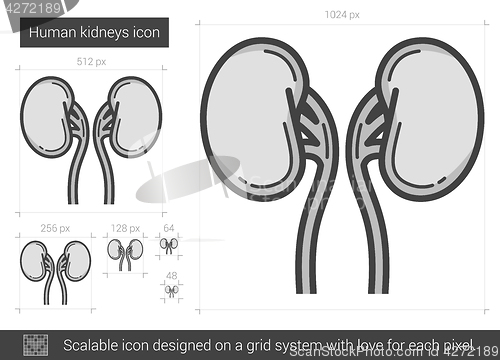 Image of Human kidneys line icon.