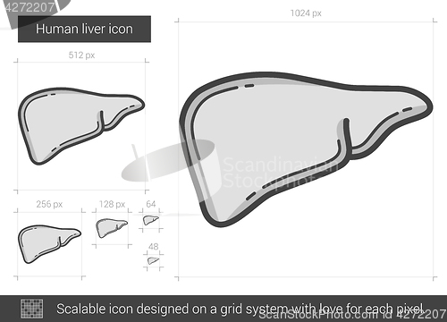 Image of Human liver line icon.