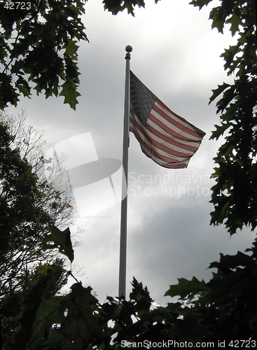 Image of old glory
