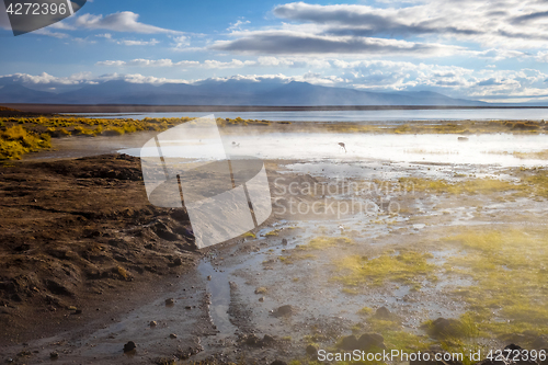 Image of Lake in sol de manana geothermal field, sud Lipez reserva, Boliv