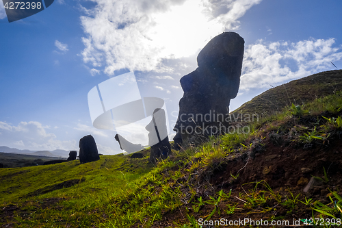 Image of Moais statues on Rano Raraku volcano, easter island