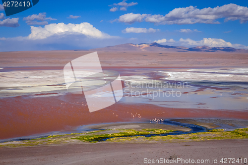 Image of Laguna colorada in sud Lipez Altiplano reserva, Bolivia