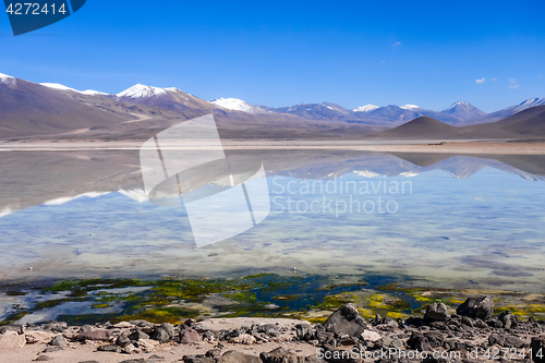 Image of Clear altiplano laguna in sud Lipez reserva, Bolivia