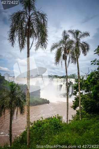 Image of iguazu falls