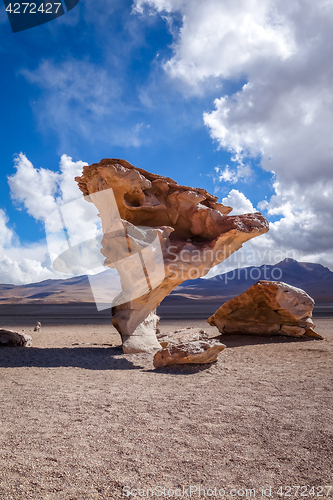 Image of Arbol de Piedra in Siloli desert, sud Lipez reserva, Bolivia