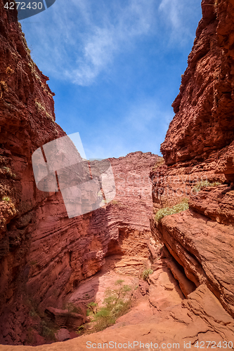 Image of Garganta del diablo in Quebrada de las Conchas, Salta, Argentina