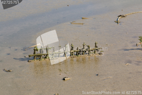 Image of Mud at Low Tide