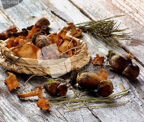 Image of Arrangement of Dried Mushrooms