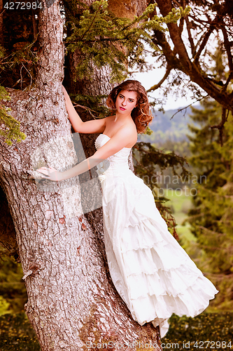 Image of Beautiful bridal glamour
