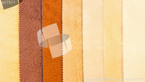 Image of Leather 1
