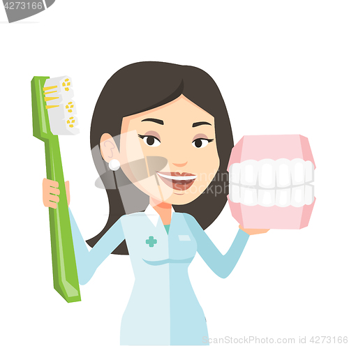 Image of Dentist with dental jaw model and toothbrush.