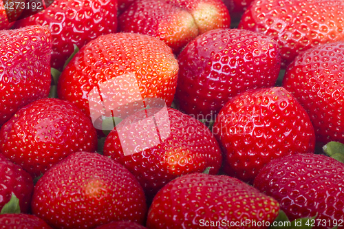Image of Fresh strawberries