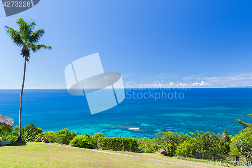Image of view to indian ocean from island with palm tree