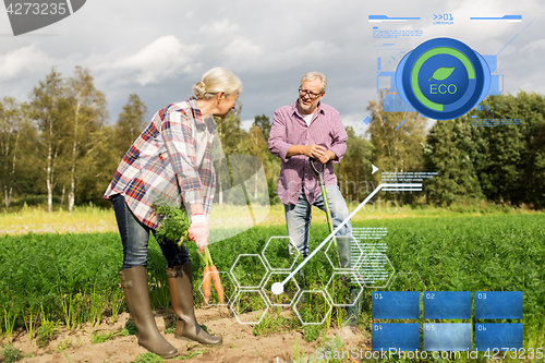 Image of senior couple with shovel picking carrots on farm