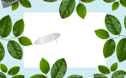 Image of white blank space and green leaves on blue