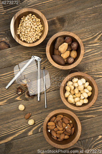 Image of Mixed Nuts Pine Almonds Macadamia Walnuts Nutcracker