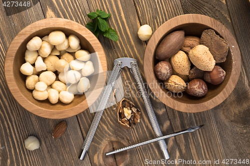 Image of Mixed Nuts Pine Almonds Macadamia Walnuts Nutcracker