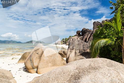 Image of island beach in indian ocean on seychelles