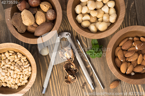 Image of Mixed Nuts Pine Almonds Macadamia Walnuts Nutcracker