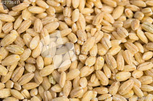 Image of Macro Pearl Barley Whole Food