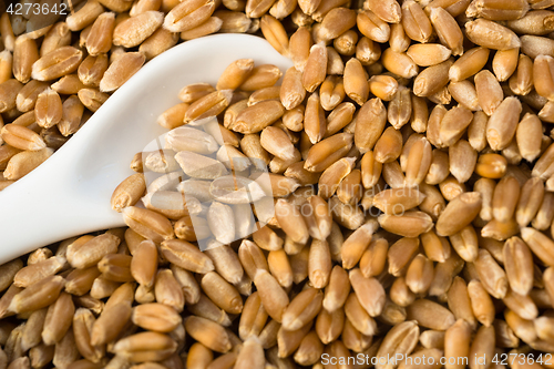 Image of Red Wheat Berries White Spoon Wooden Bowl