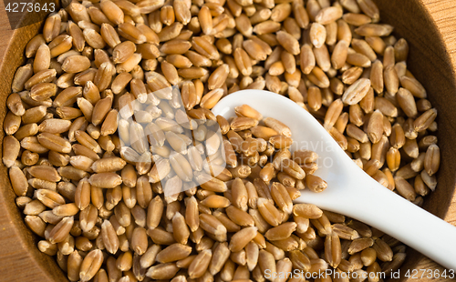 Image of Red Wheat Berries White Spoon Wooden Bowl