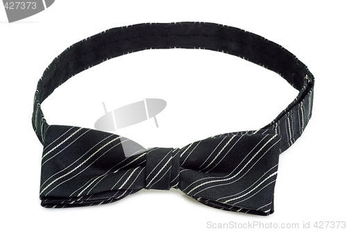 Image of Bow tie