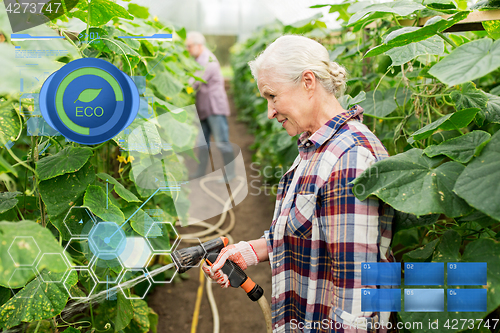 Image of senior couple with garden hose at farm greenhouse