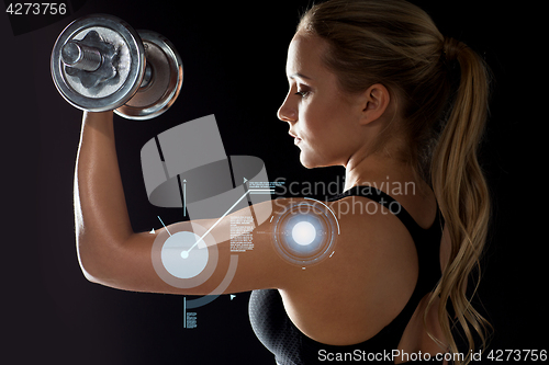 Image of young sporty woman exercising with dumbbell