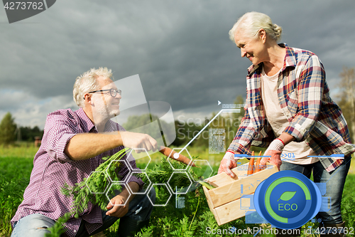 Image of senior couple with box of carrots on farm