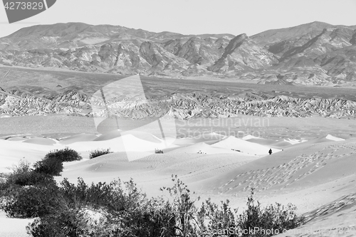 Image of Lone Man Walks Sand Dunes Death Valley