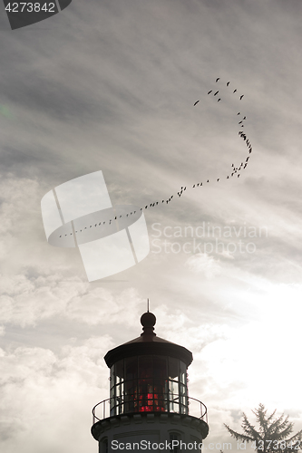 Image of Geese Migrate Formation over Pacific Coast Lighthouse