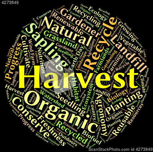 Image of Harvest Word Means Produce Grains And Gather