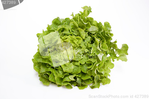 Image of Fresh geen salad