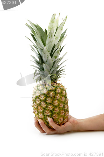 Image of Fresh pineapple