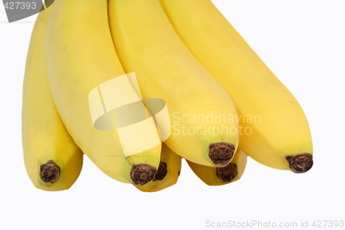Image of Healthy bananas